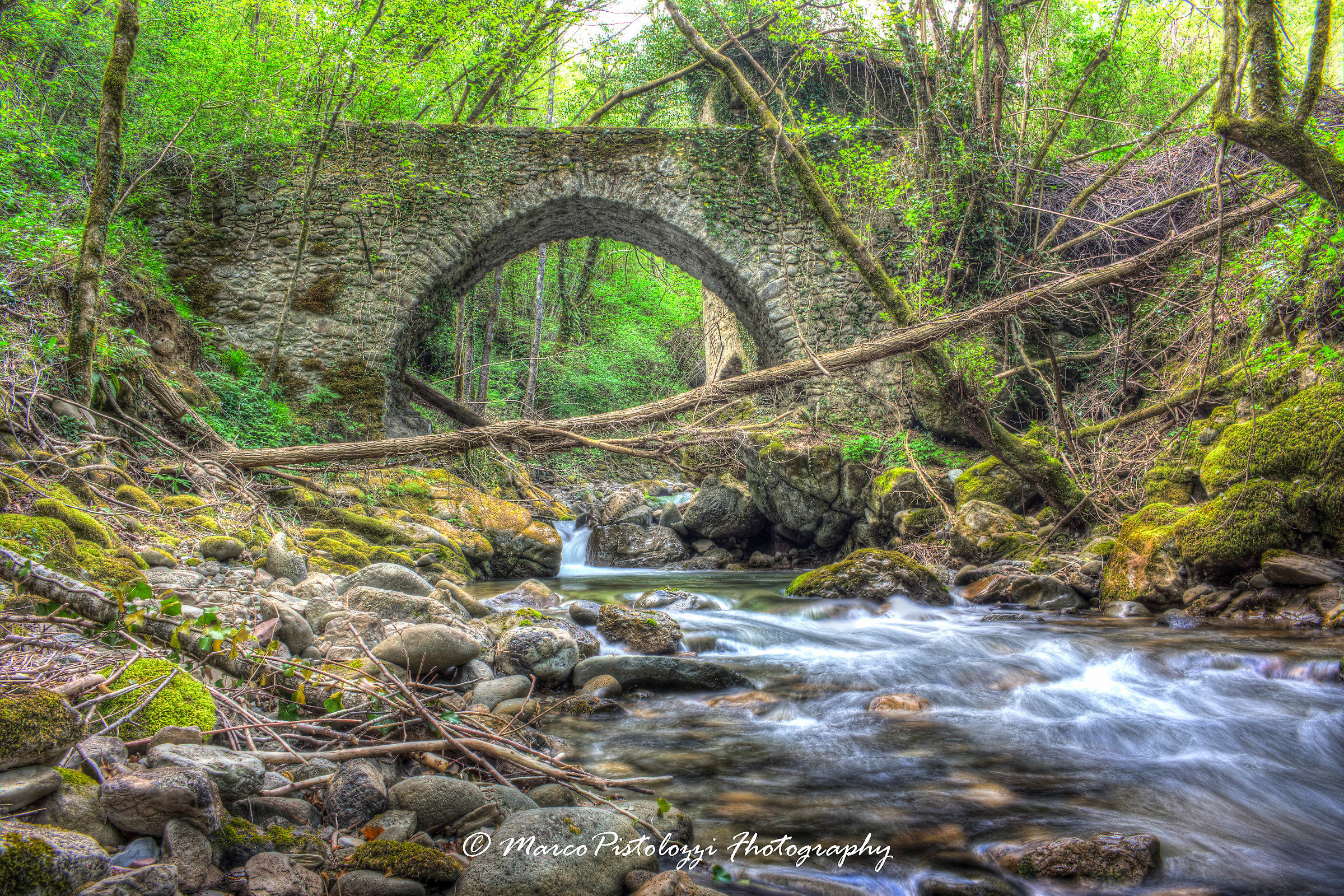 Torrente  Strada per Vicopancellorum