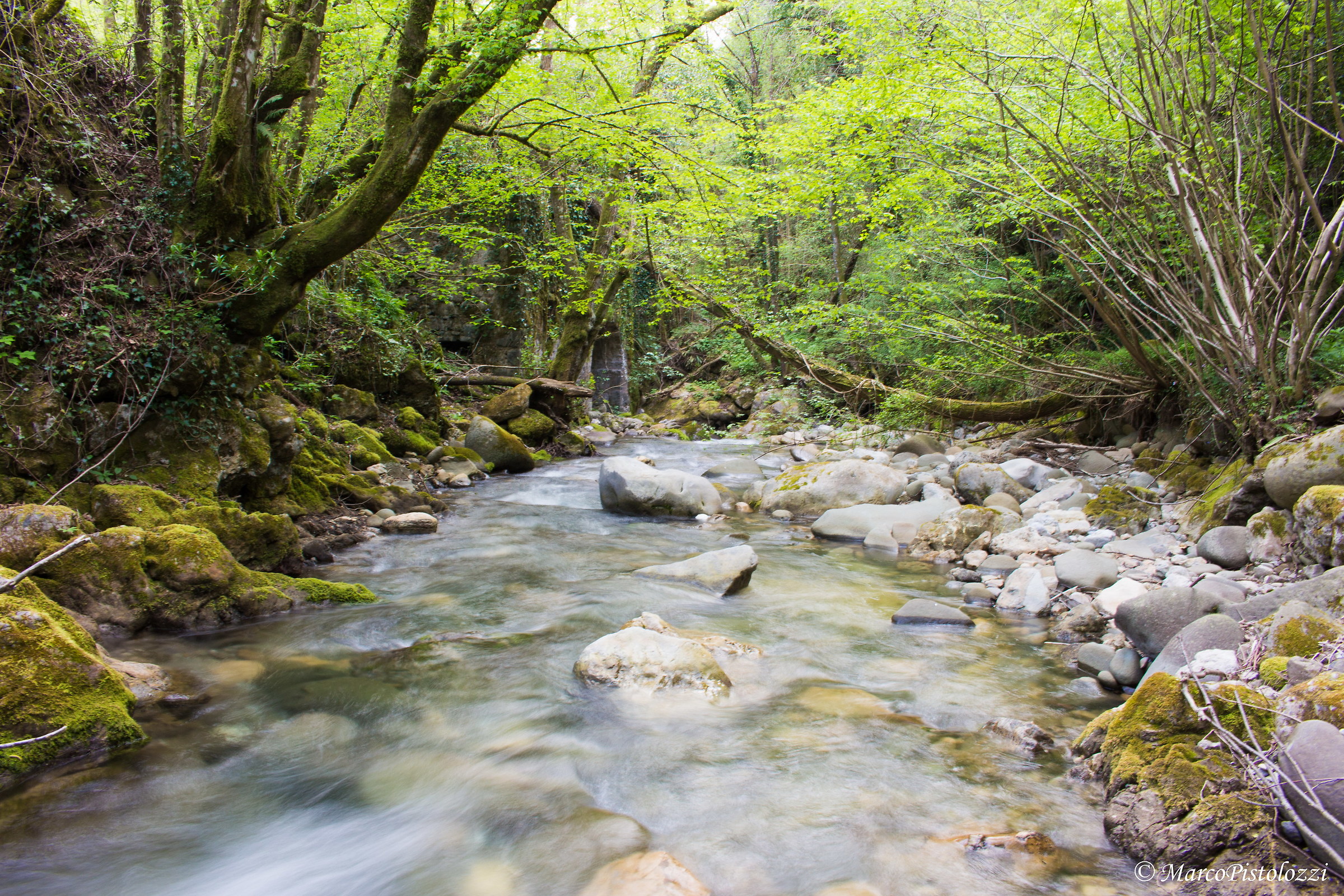 il torrente  Strada per Vicopancellorum