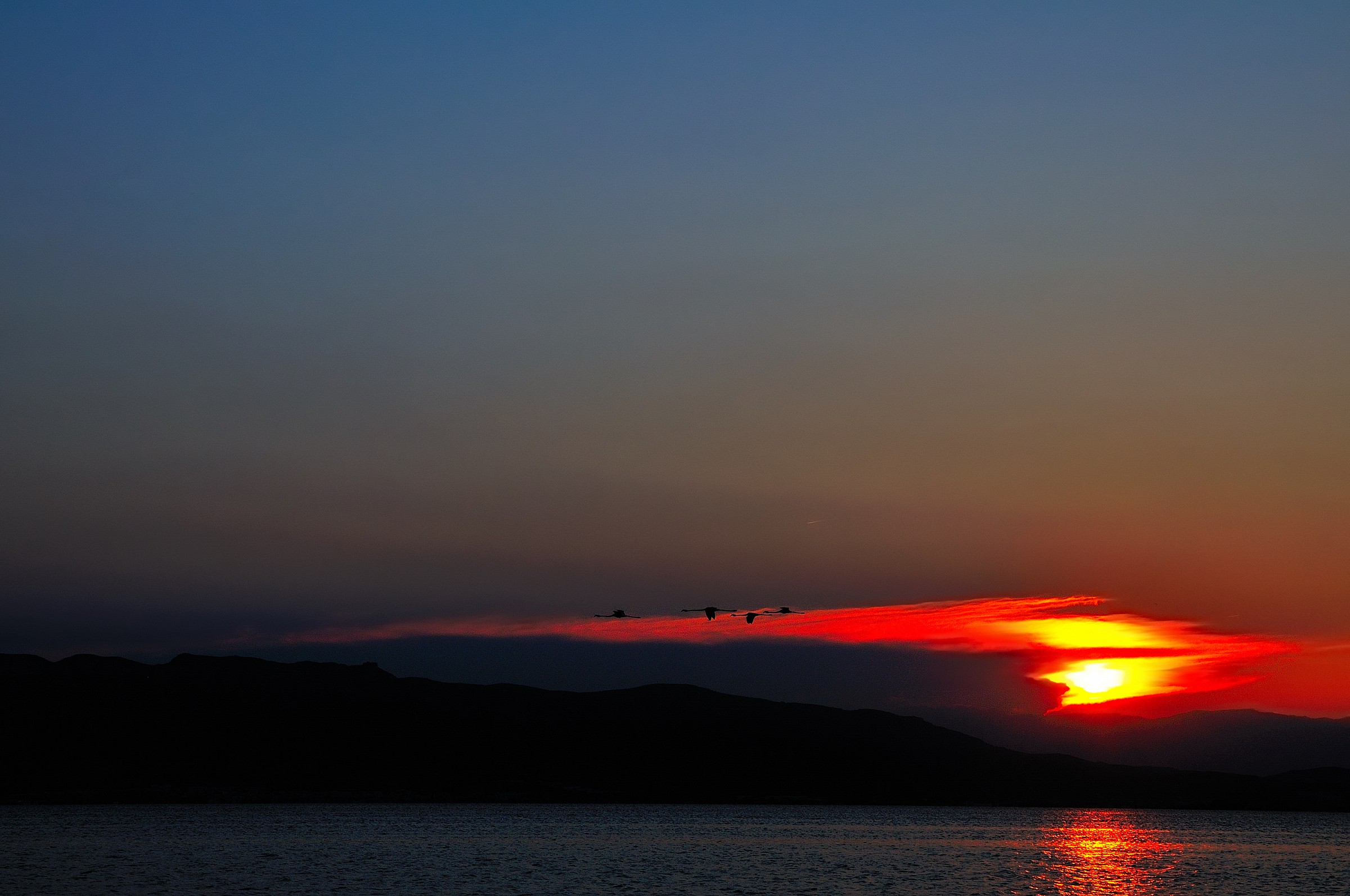 tramonto con fenicotteri