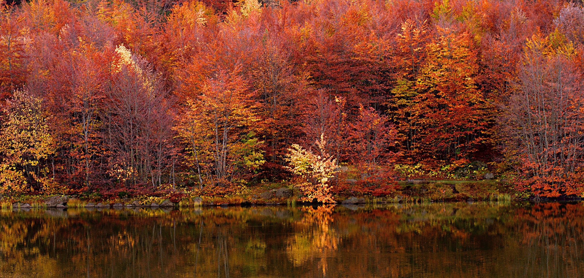 autunno in alta val nure