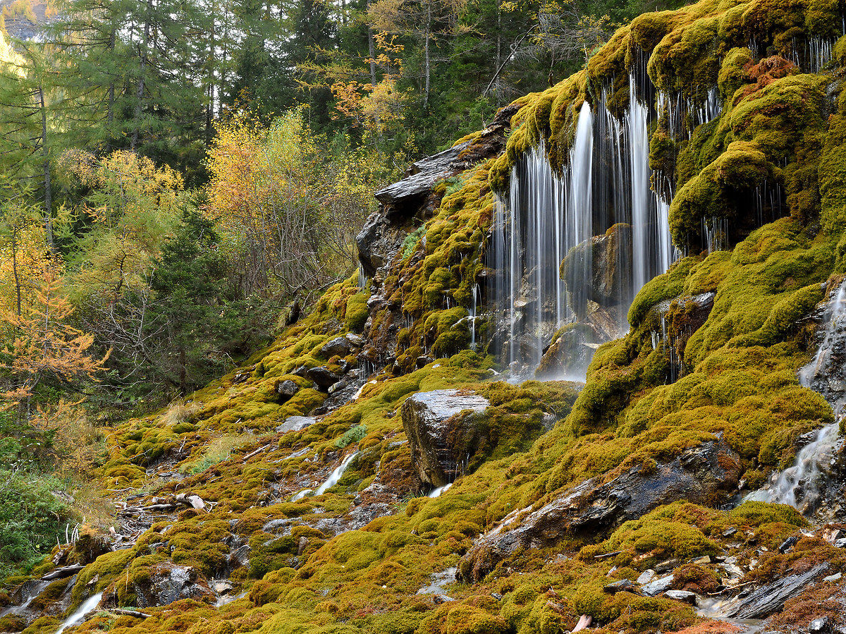 Lo spettacolo continua 2.