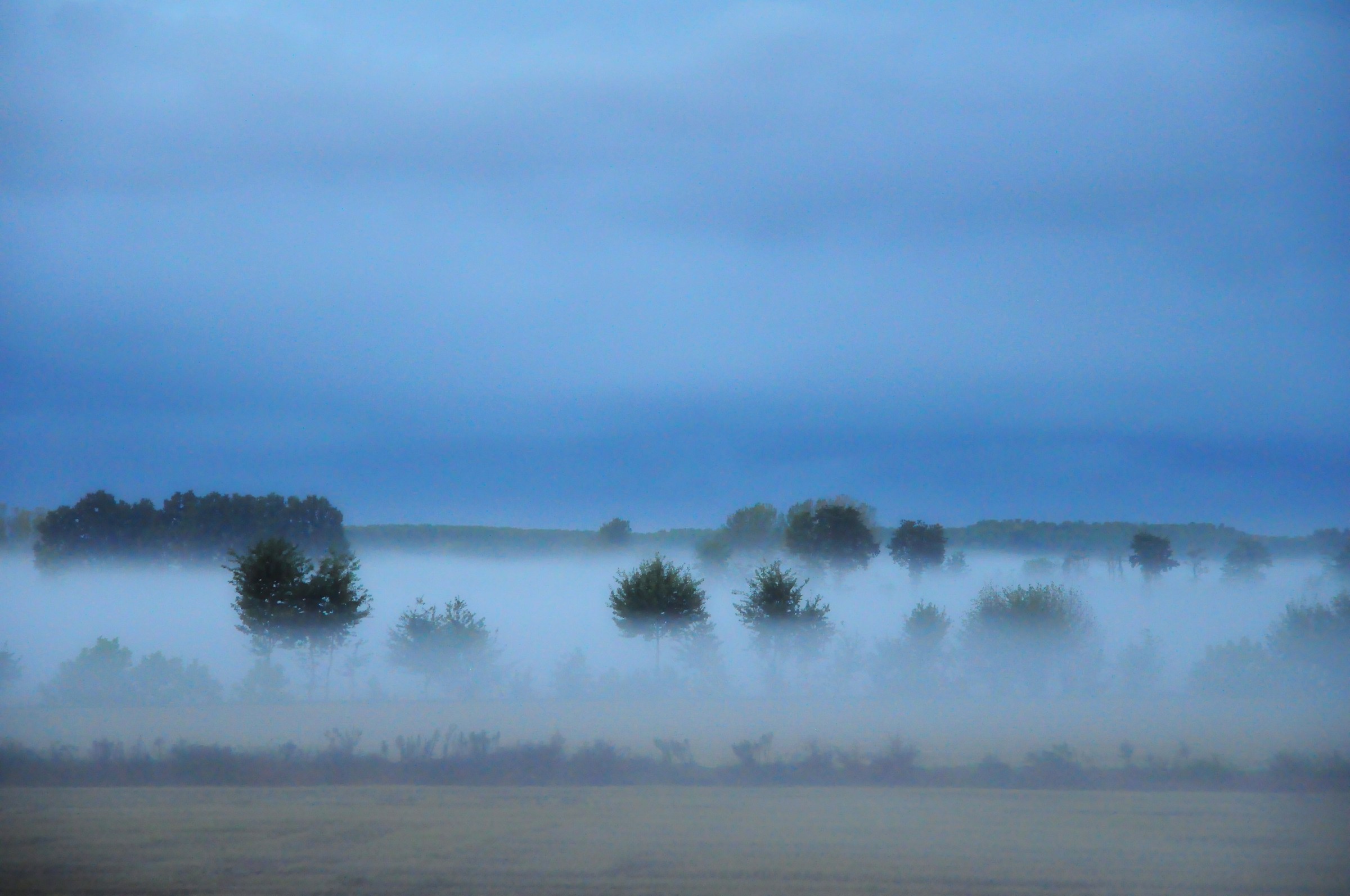 Prime nebbie autunnali