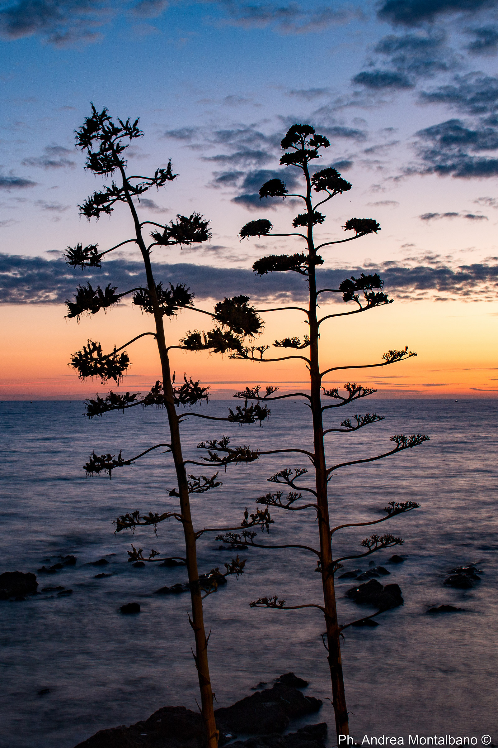 Lovers of the sea and sky in a sunset reddish brown