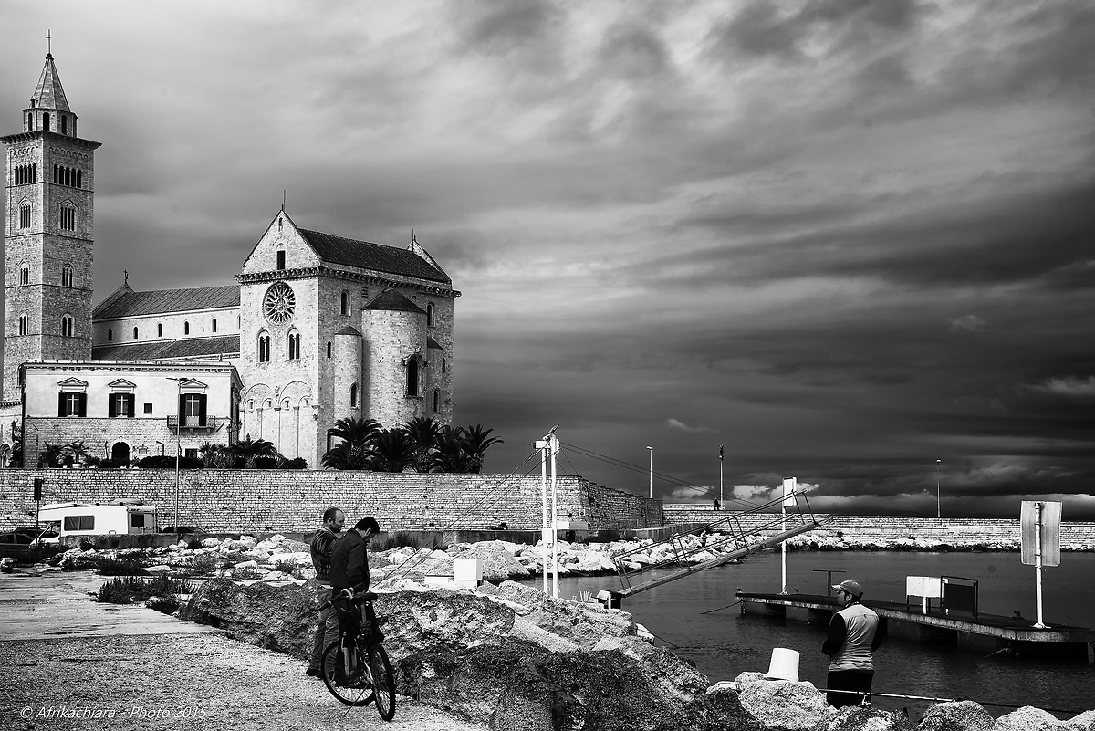 Trani - Cattedrale di San Nicola Pellegrino