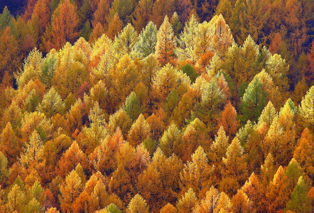 The colors of autumn