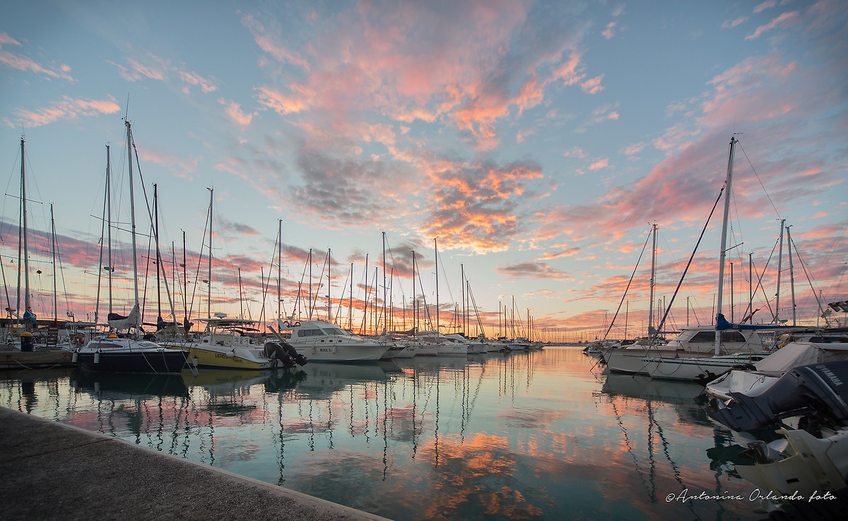 Reflections in pink !!!