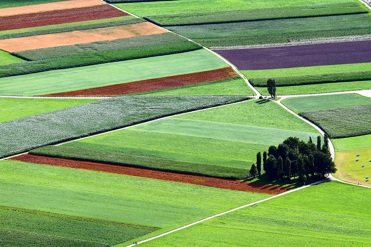 The colors from the earth