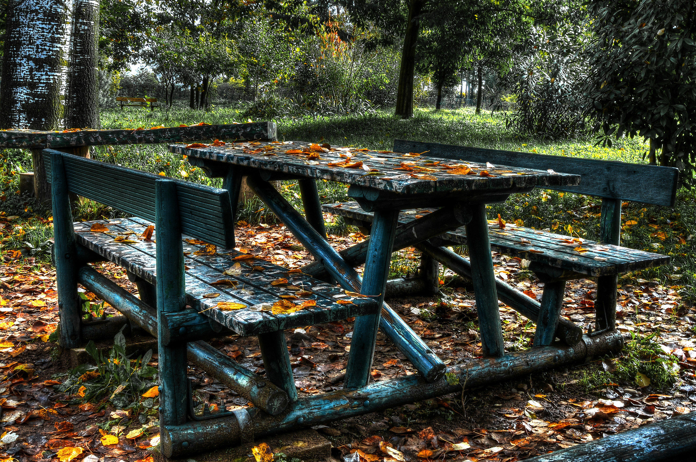 picnic autumn
