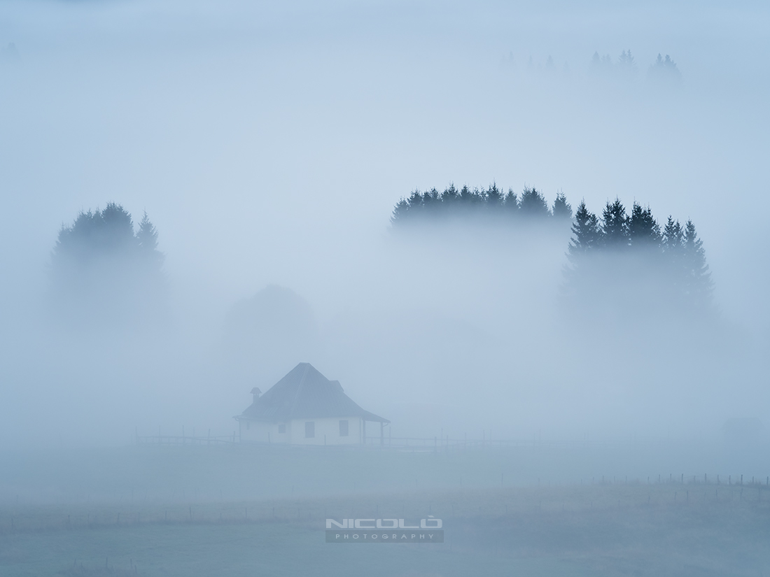 Morning fog in Cansiglio