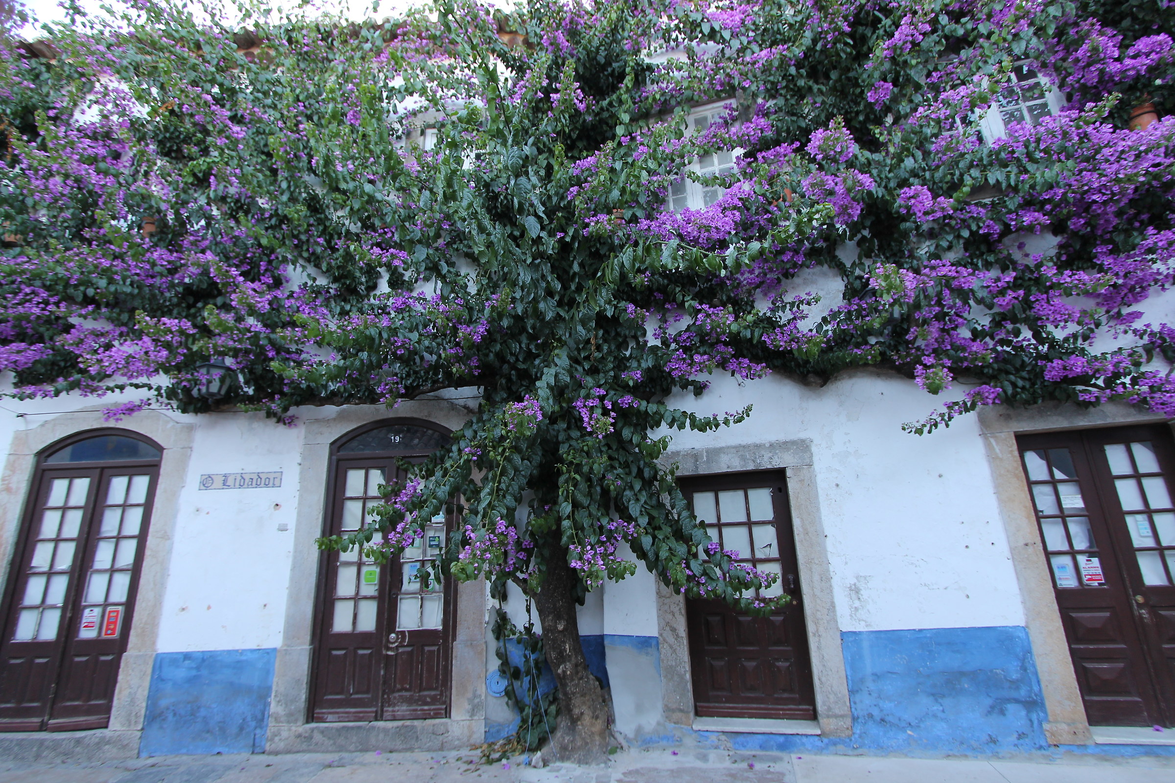 casa fiorita.........