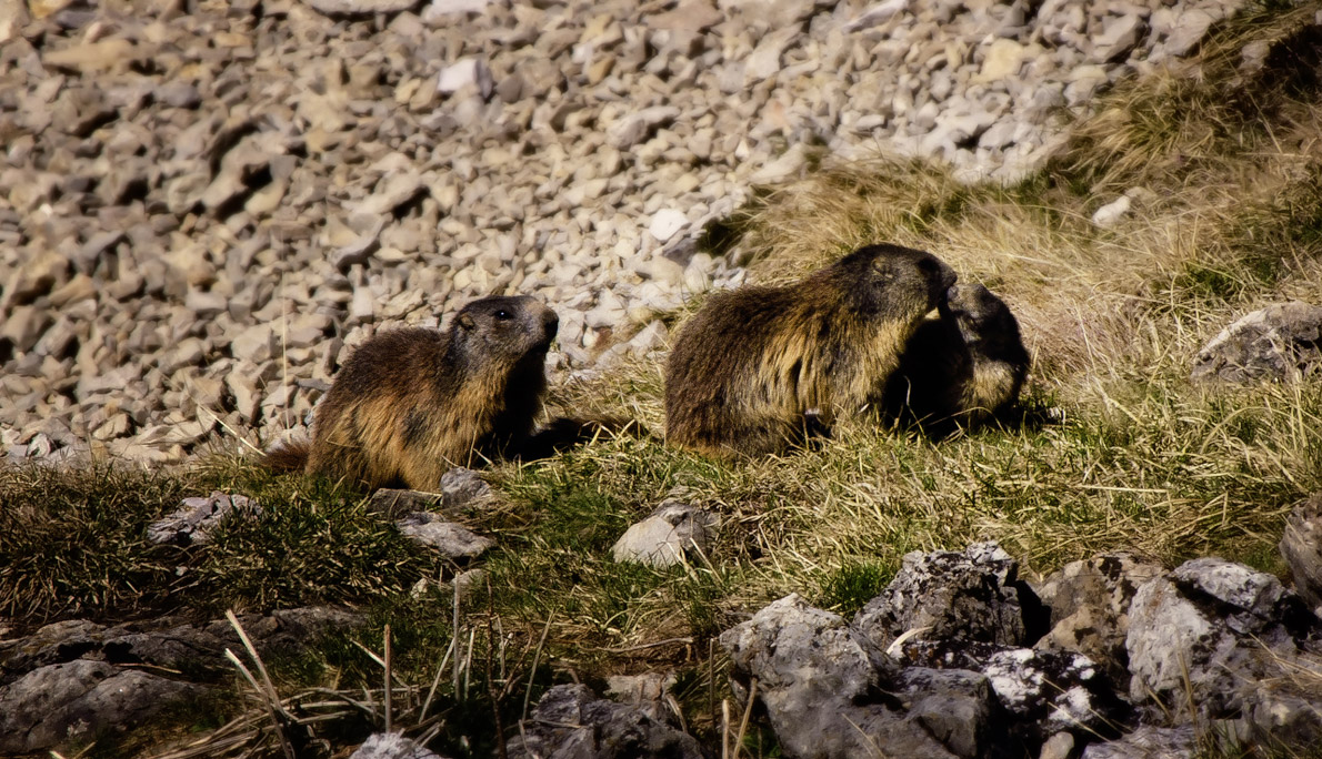 ..rientrando prima dal lavoro..