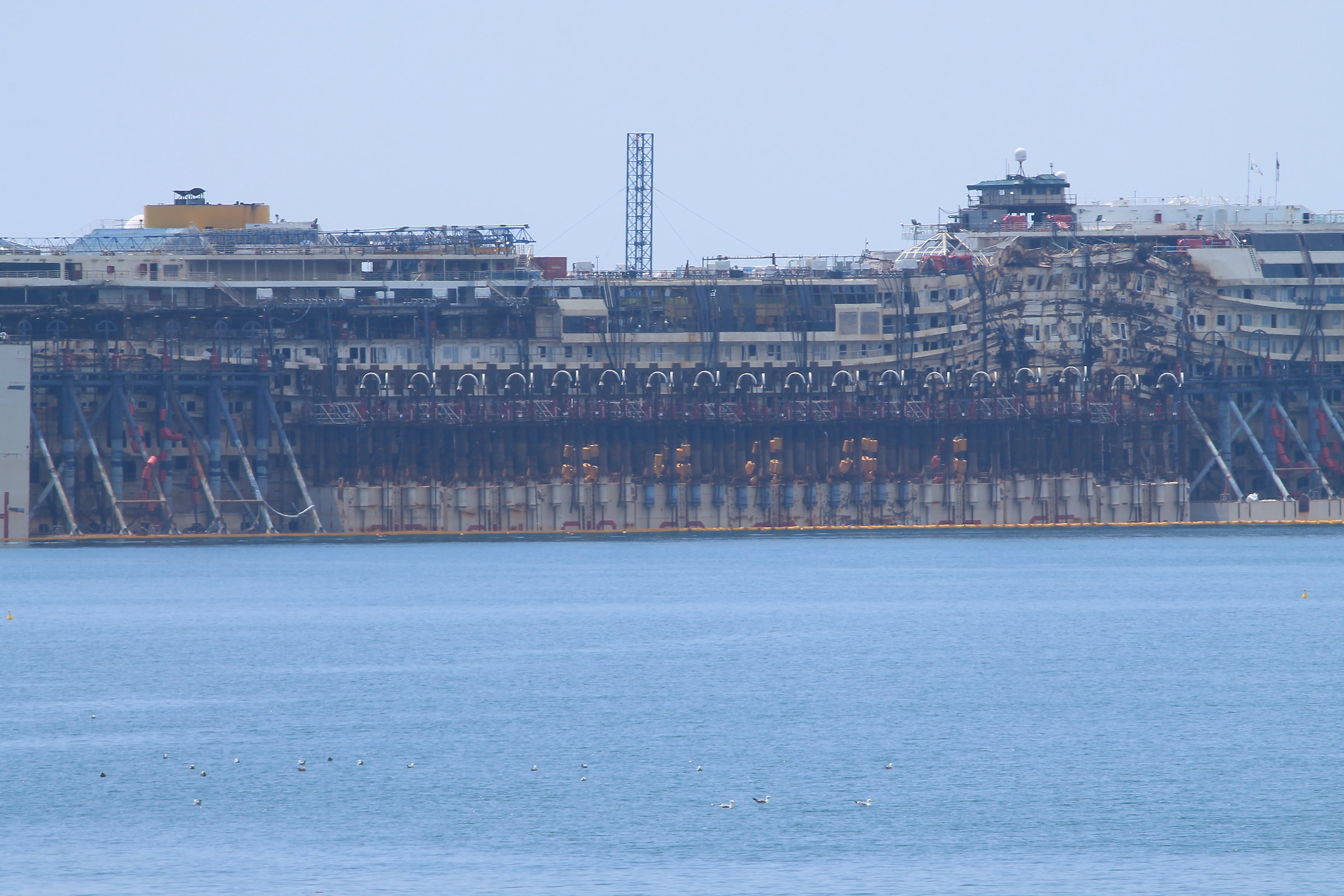 la concordia ferita...........