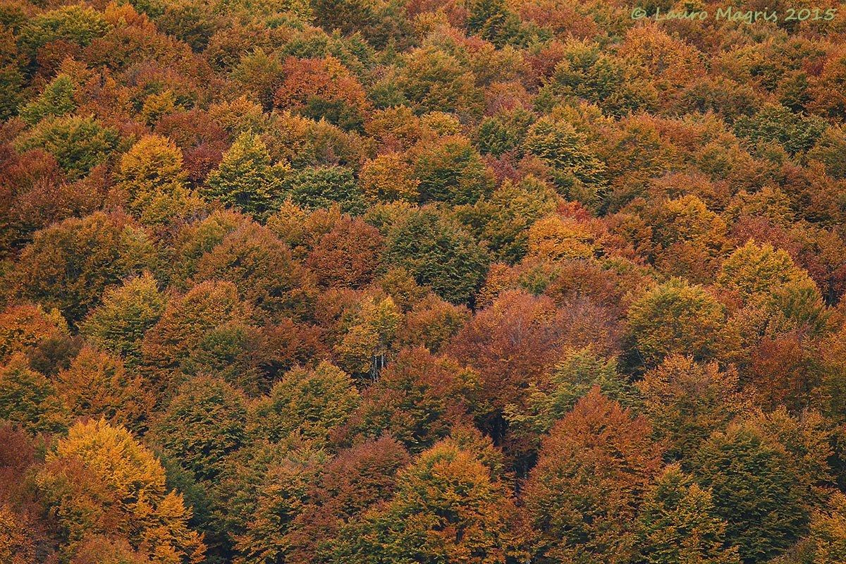 ... ha aperto la scatola dei colori