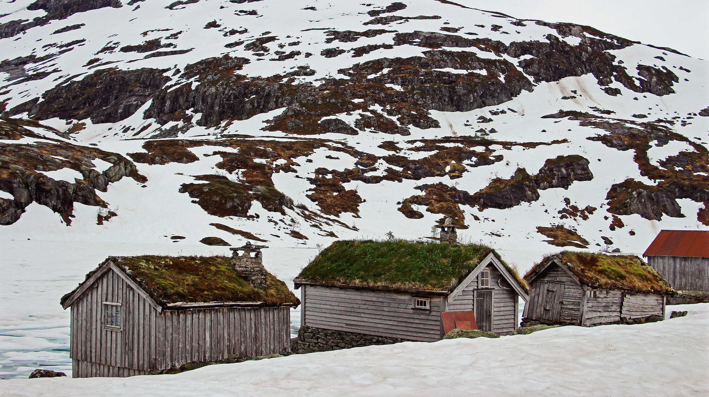 2015 - ... not always summer is summer