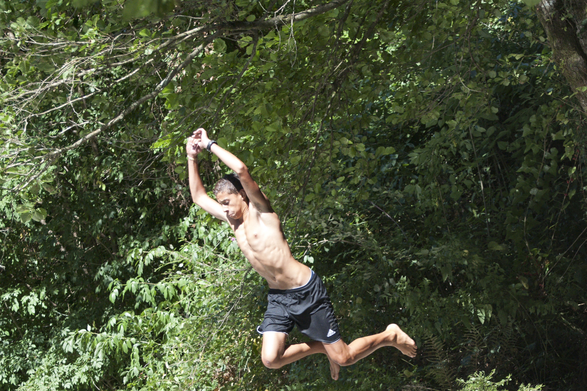 Modugno or Tarzan?