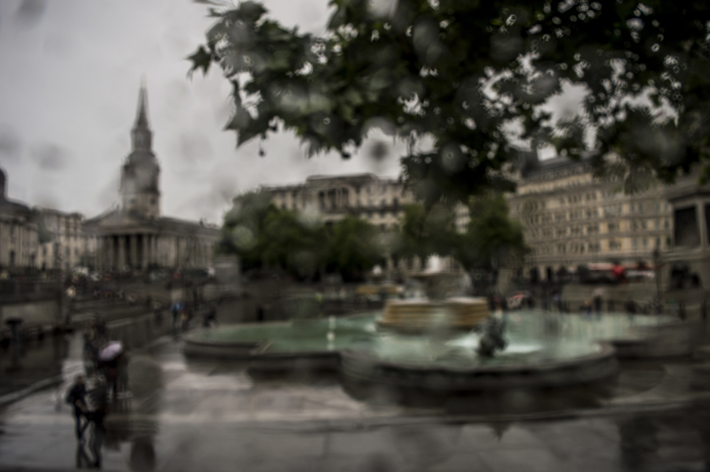 wet windows artistic