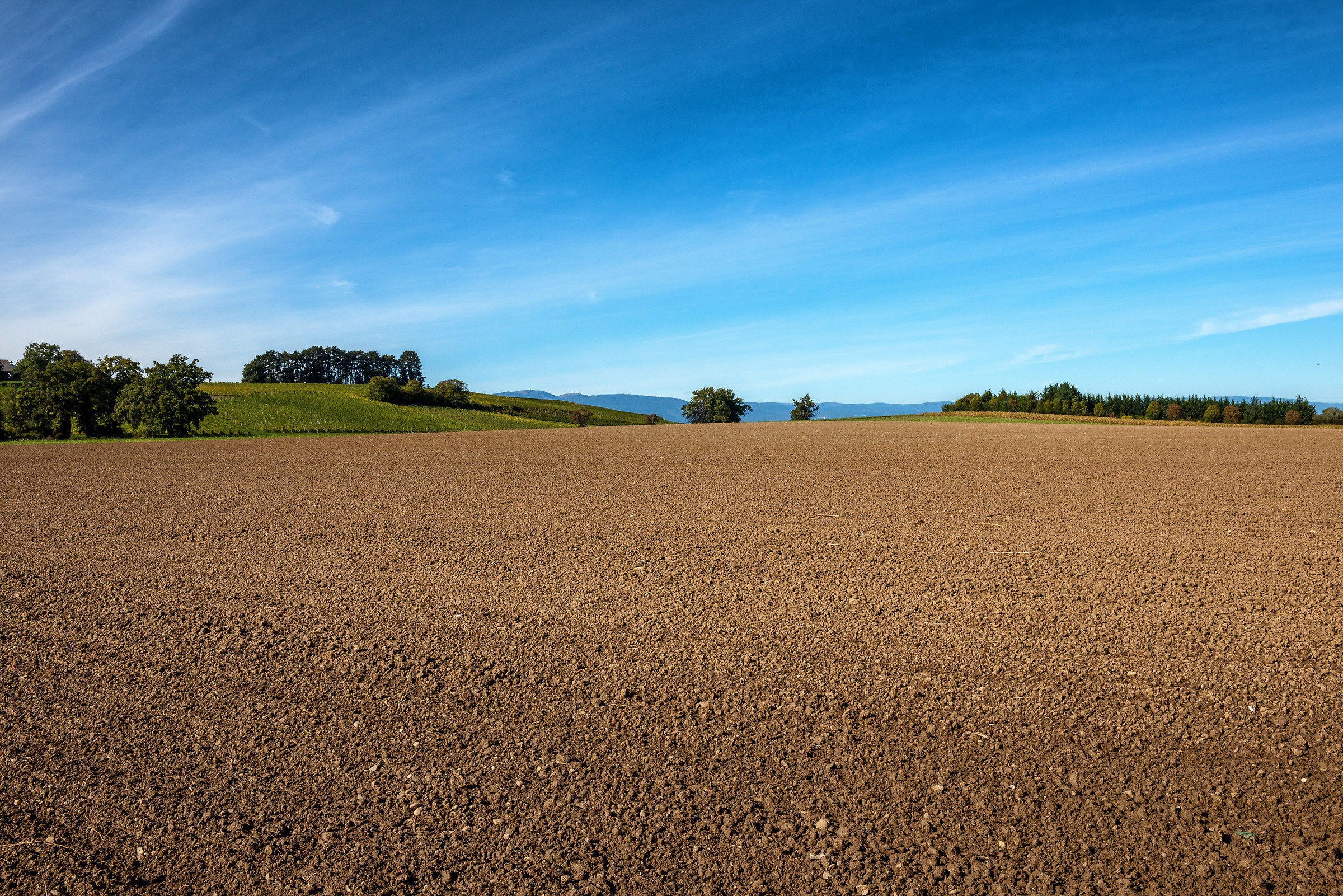 Walking in my country