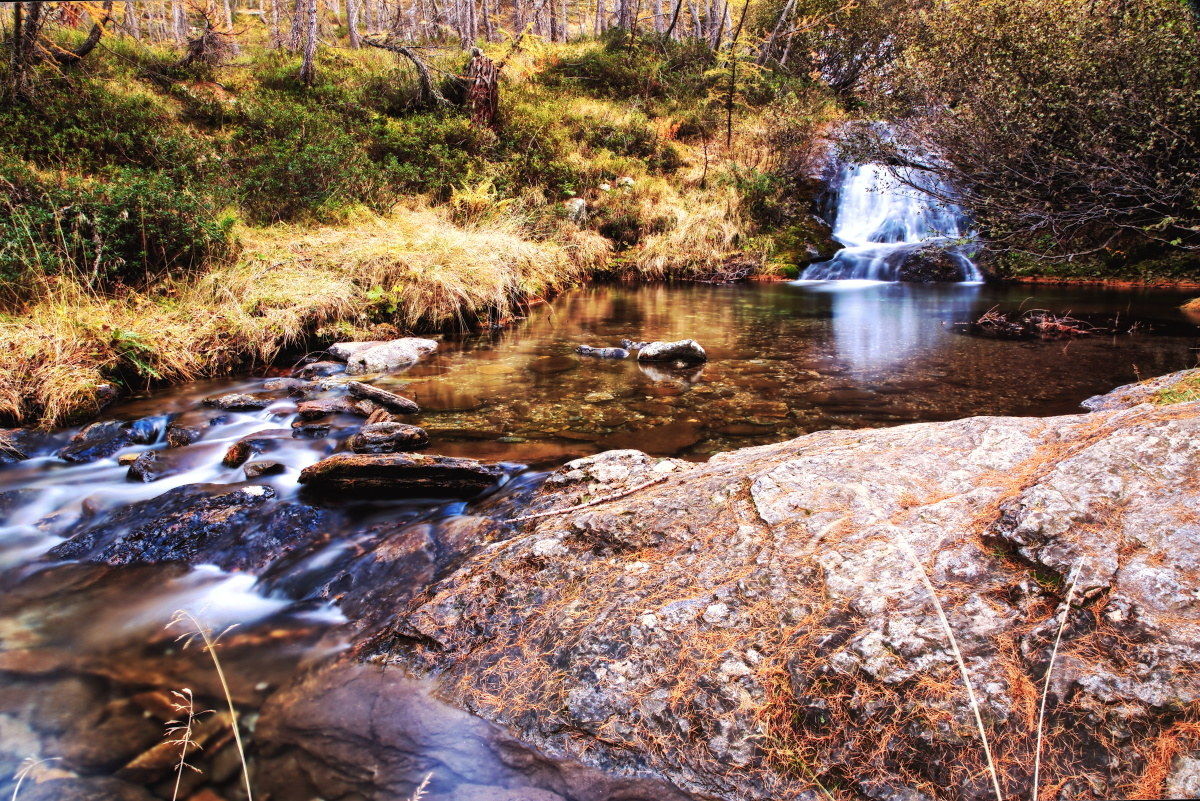 autumn test effect orton