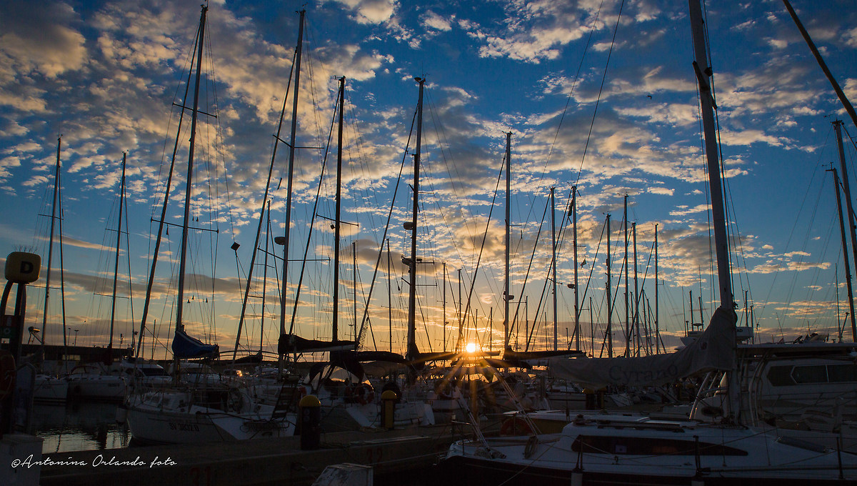 Alba tra gli alberi!!
