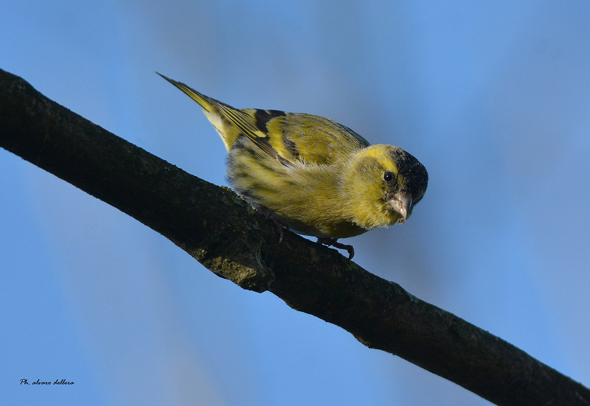 un sguardo all'ingiù