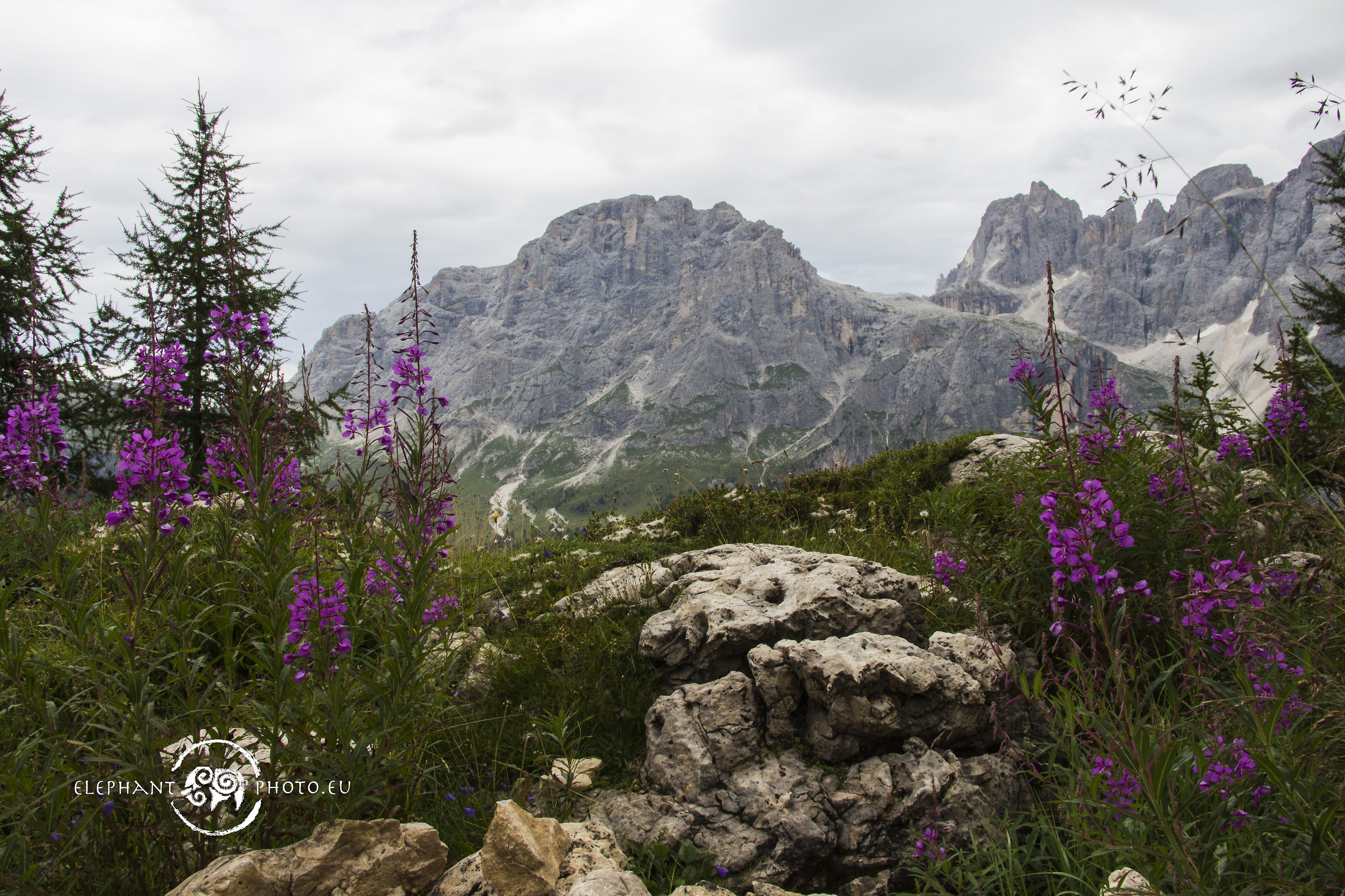 Monte Mulaz - Pale di San Martino