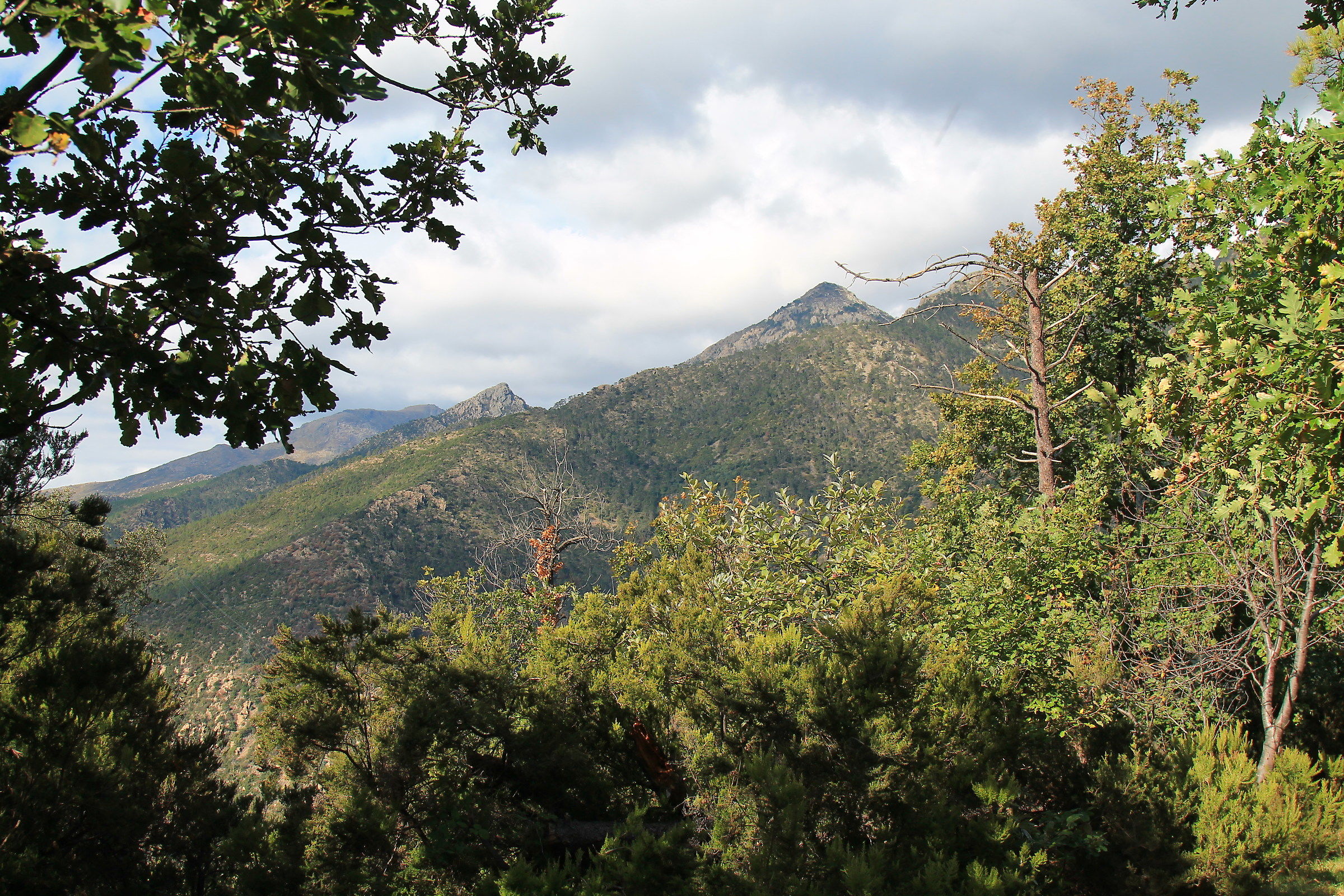 il panorama..........