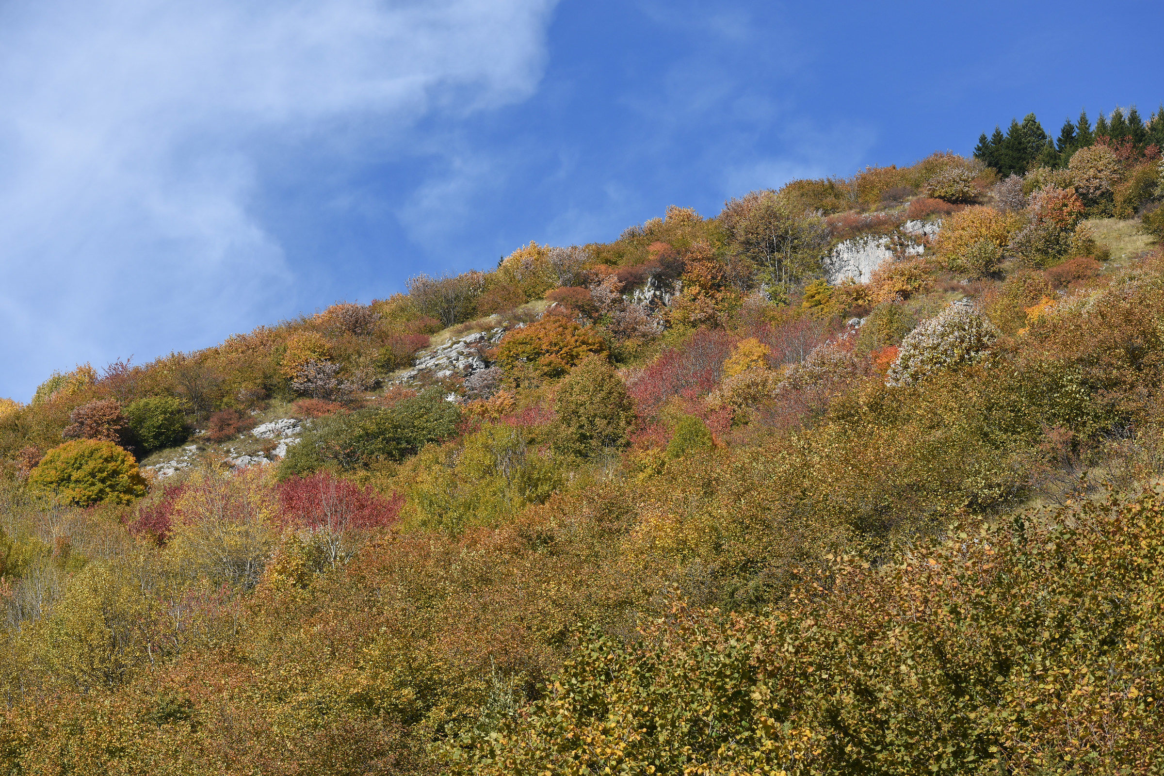 I colori dell'autunno