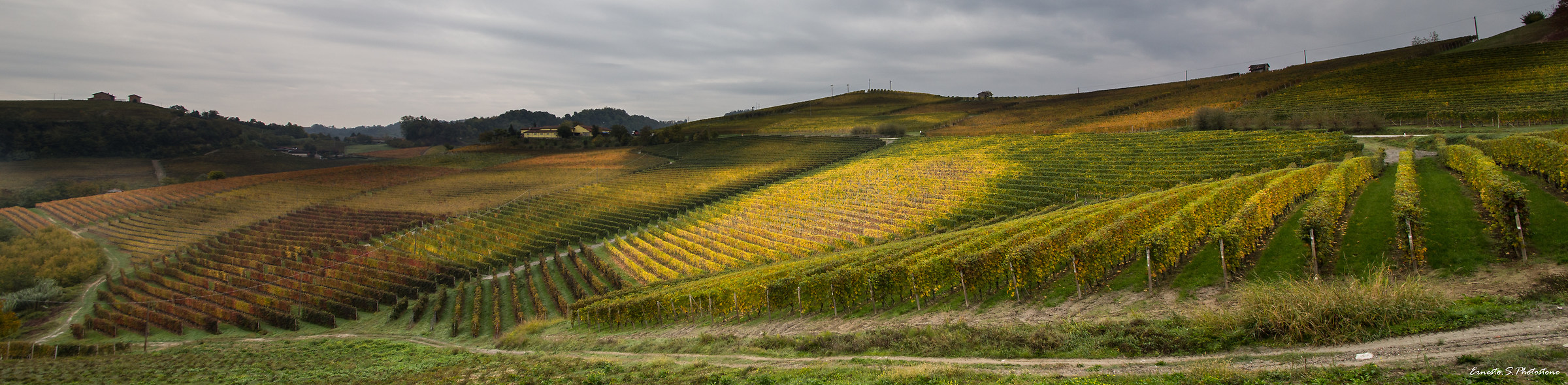 Autunno a Barolo