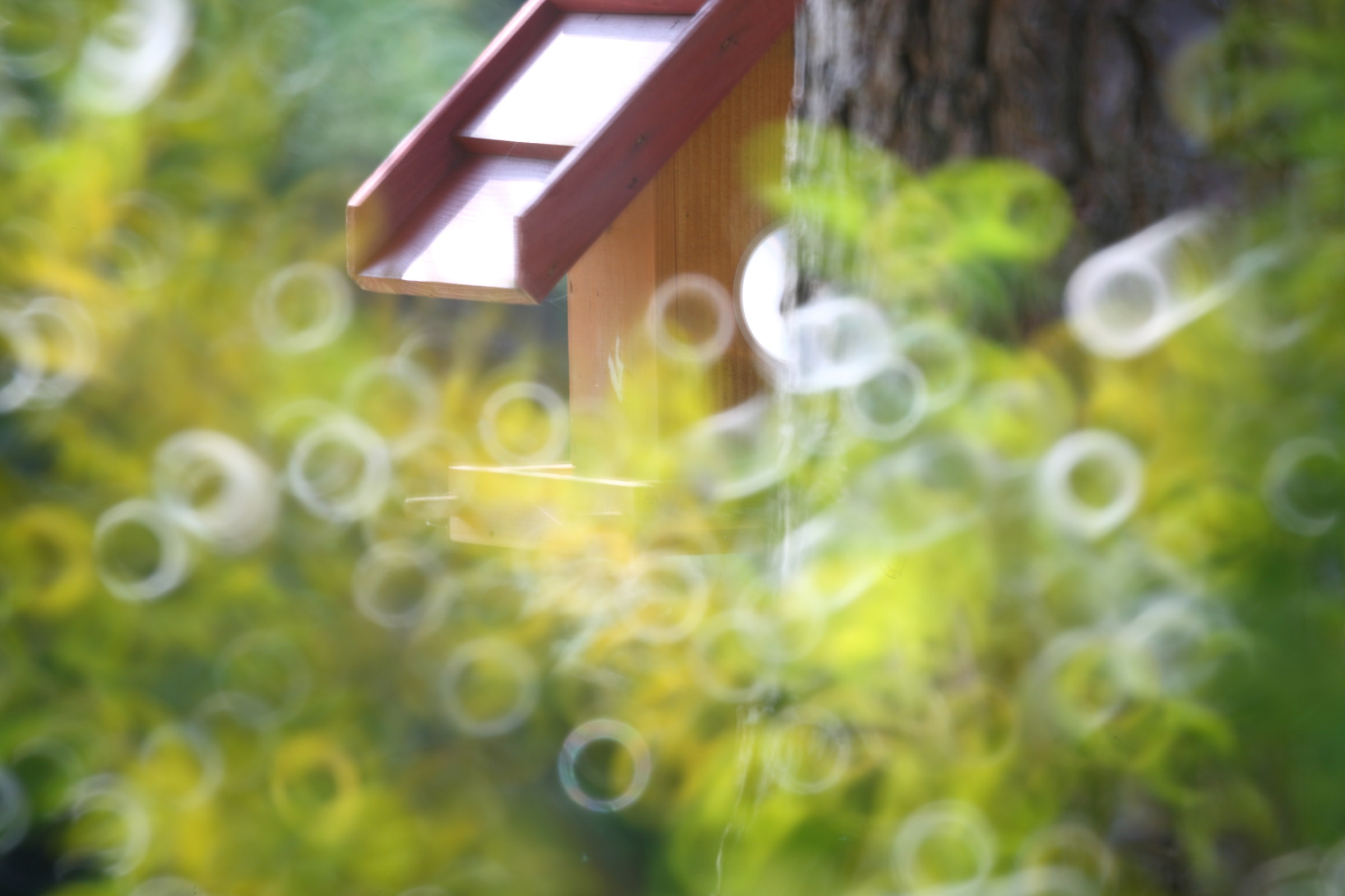 Giocando con il catadiottrico