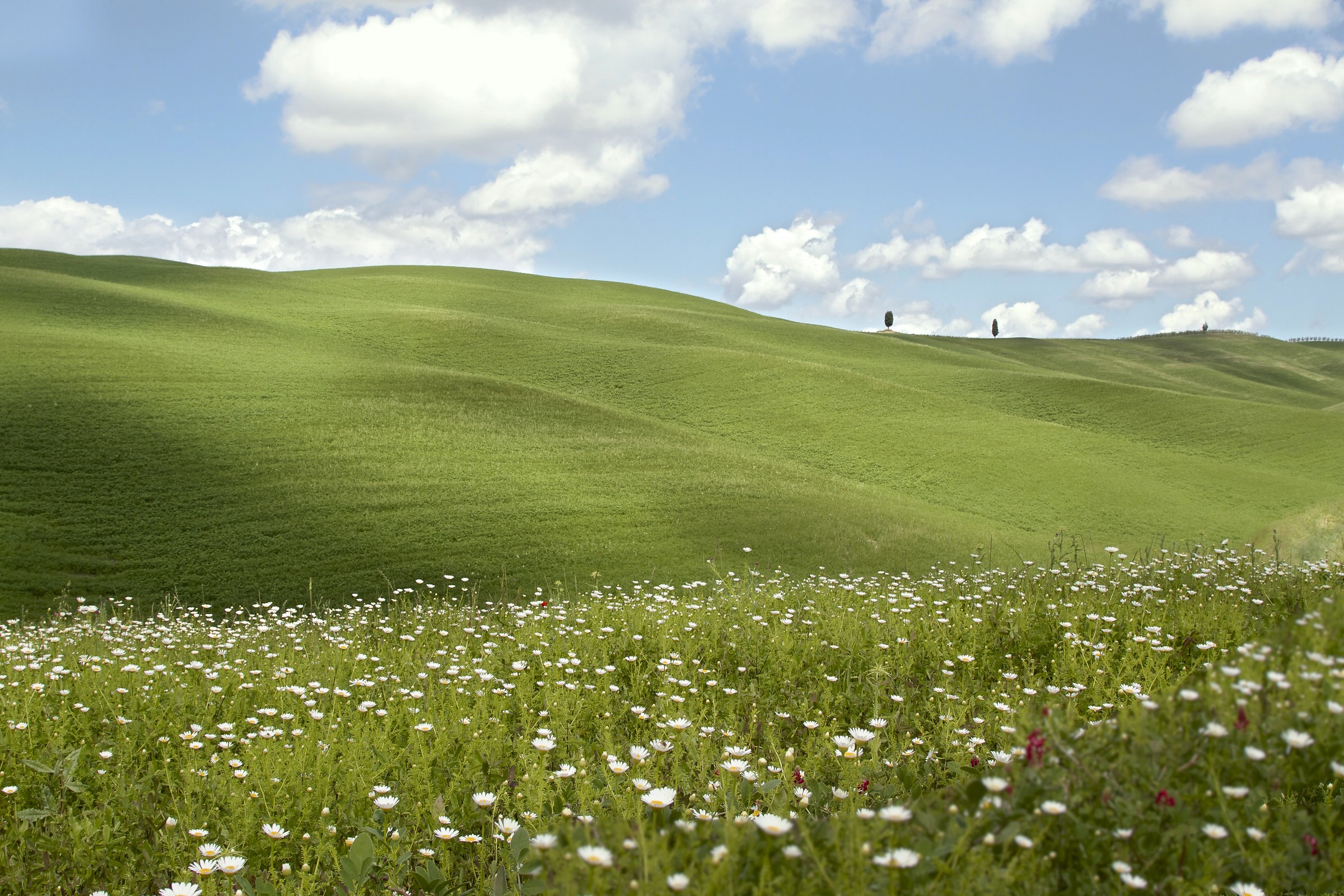 on the way to Montalcino