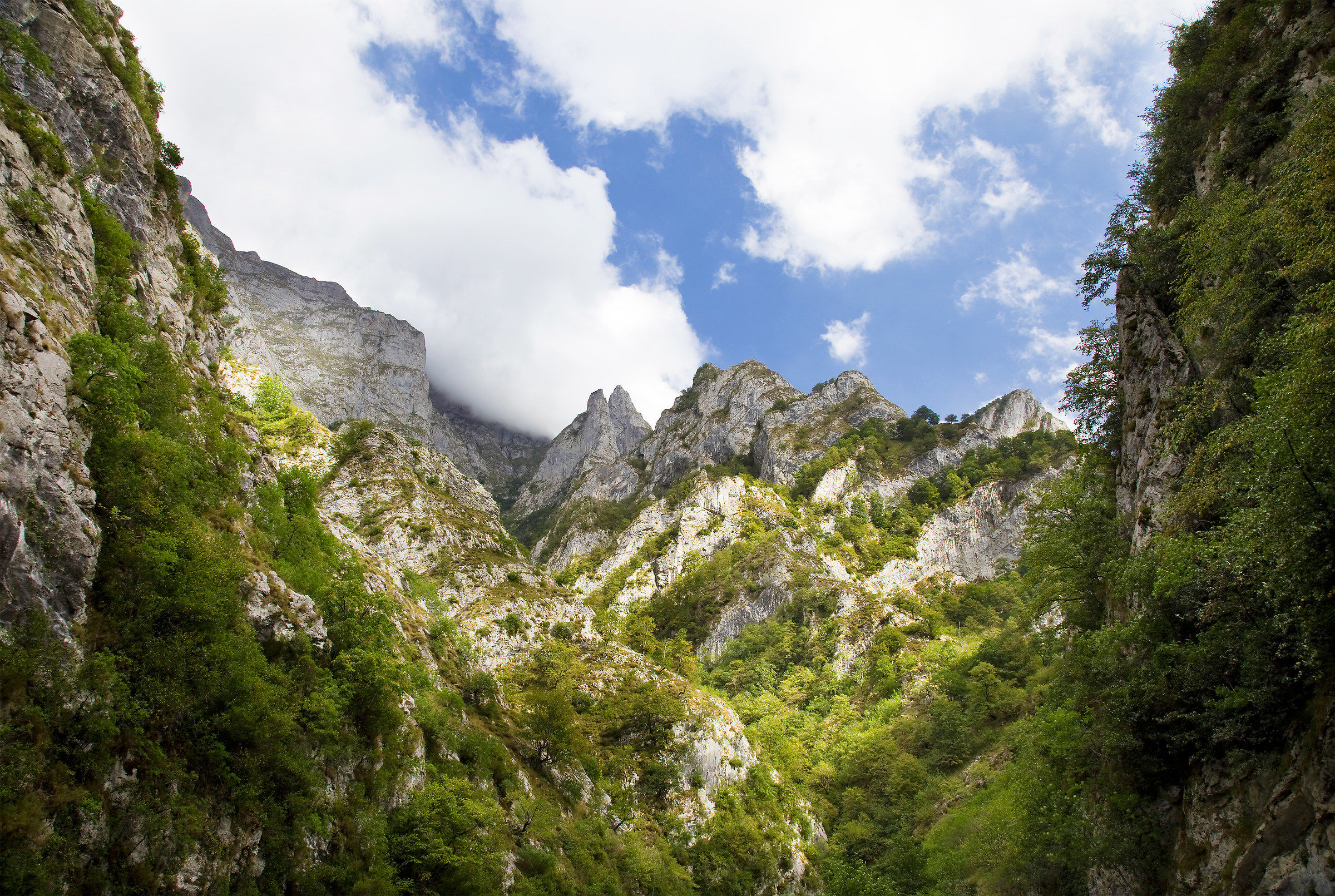 Picos de Europa National Park, Spain