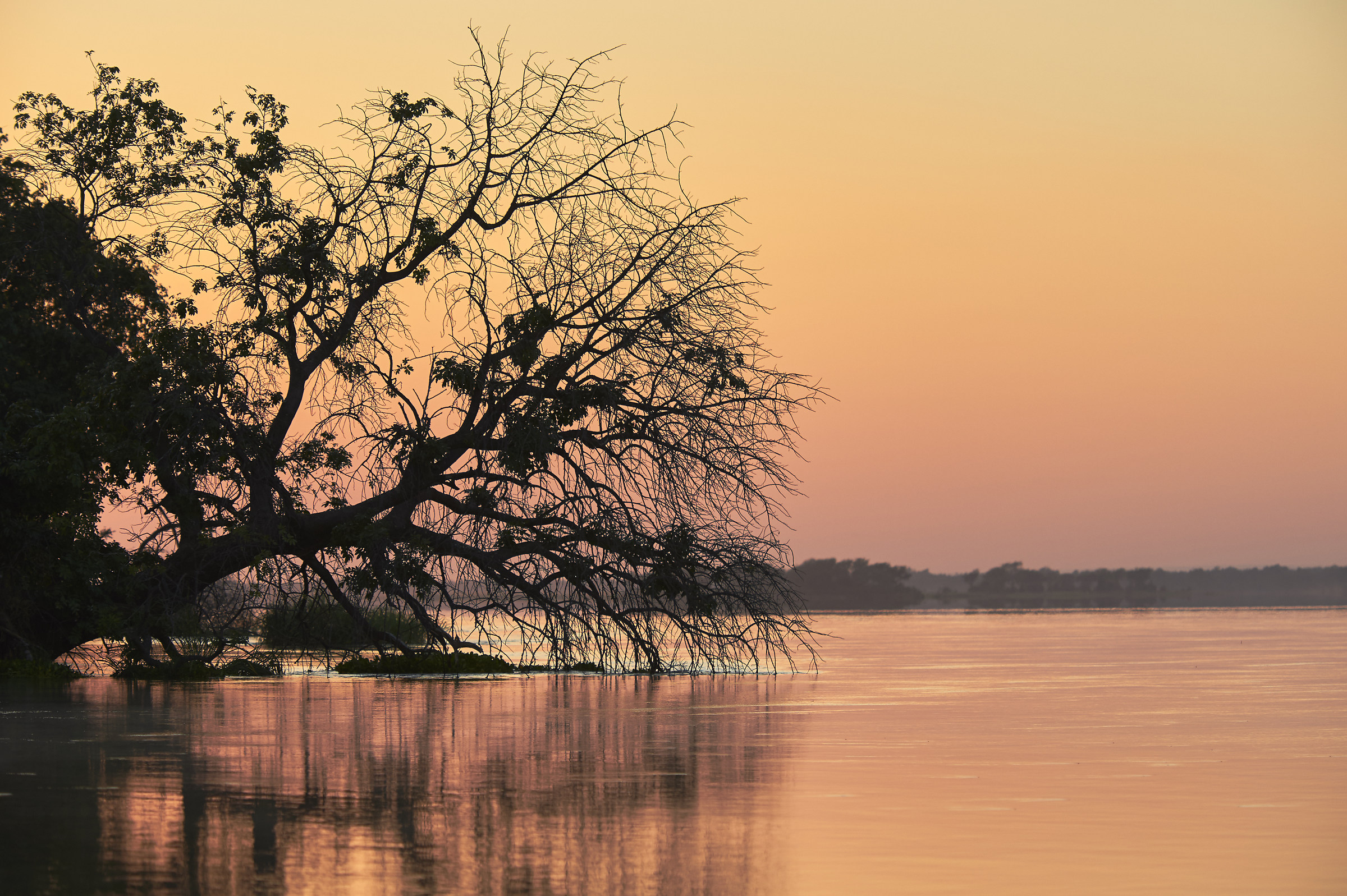 Lower Zambezi