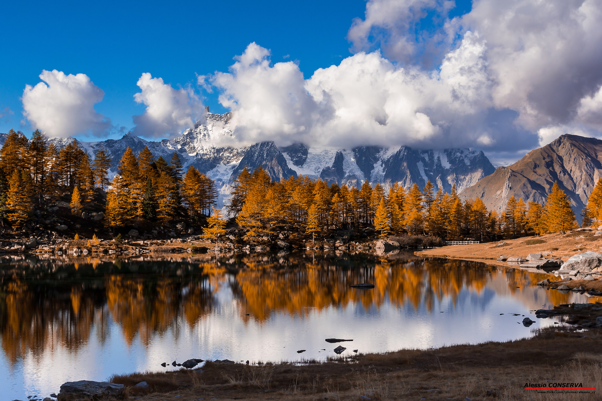 Vista sul Grandes Jorasses