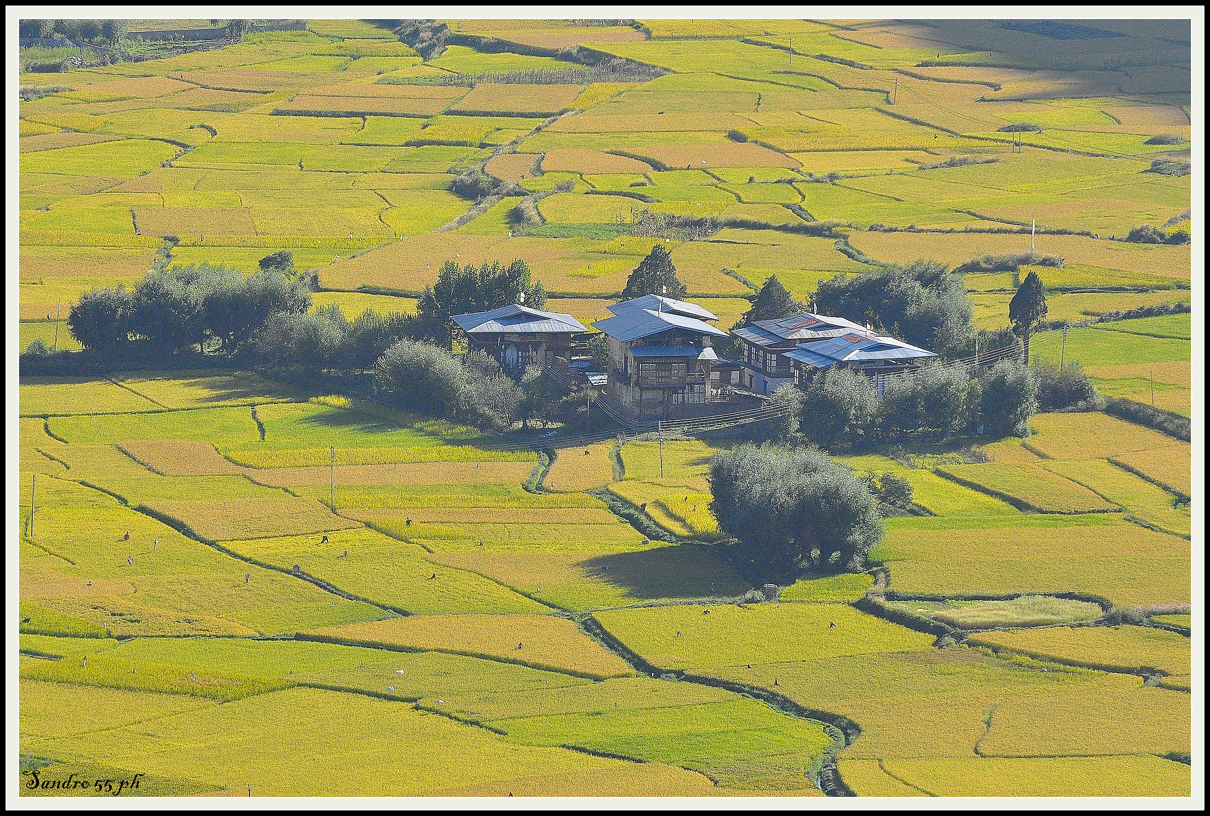 villaggio con risaie