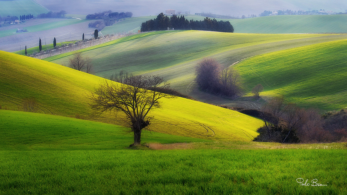 Marche countryside