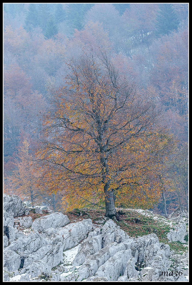 first snow on Mount Baldo (vr)