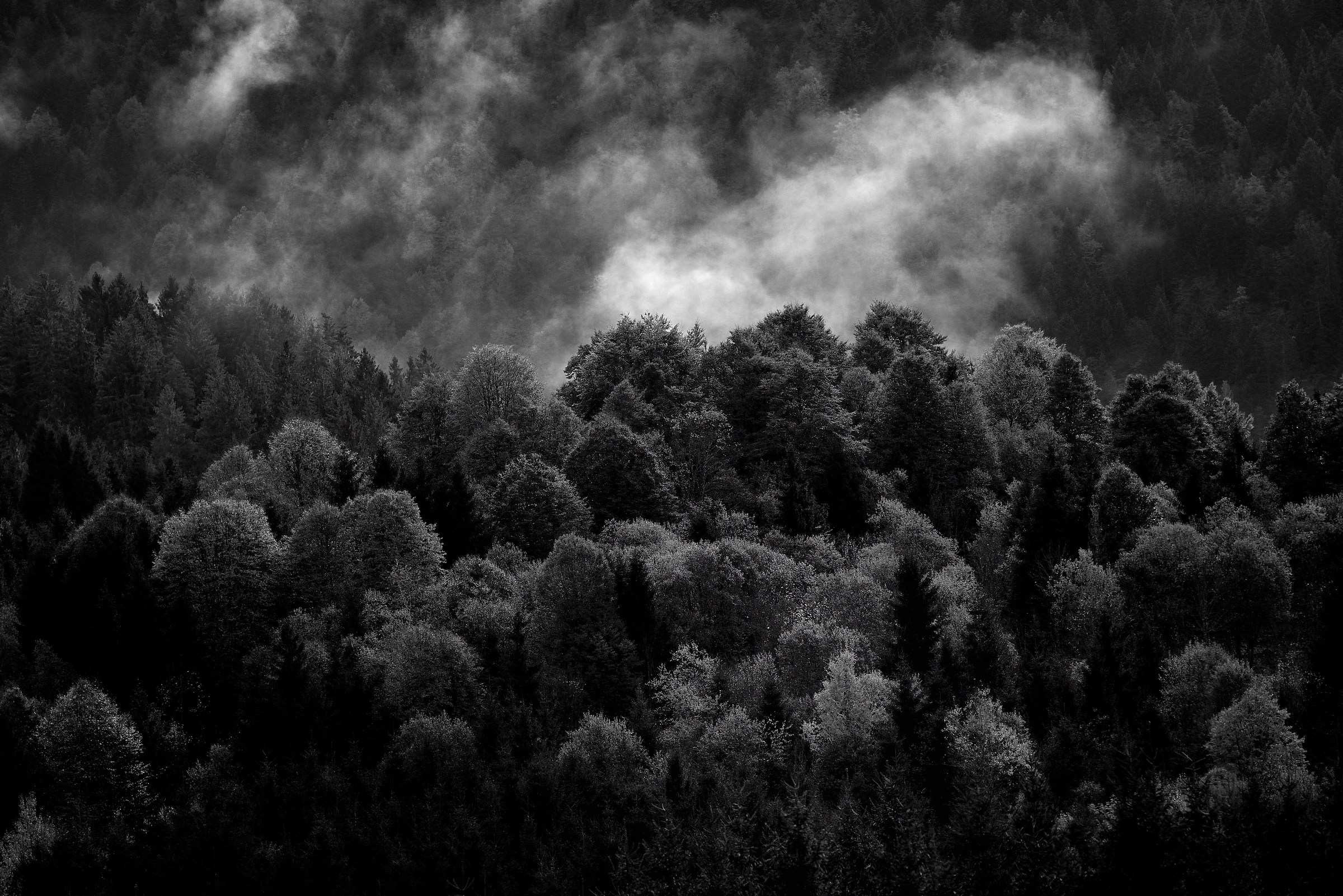 Un Autunno...diverso..