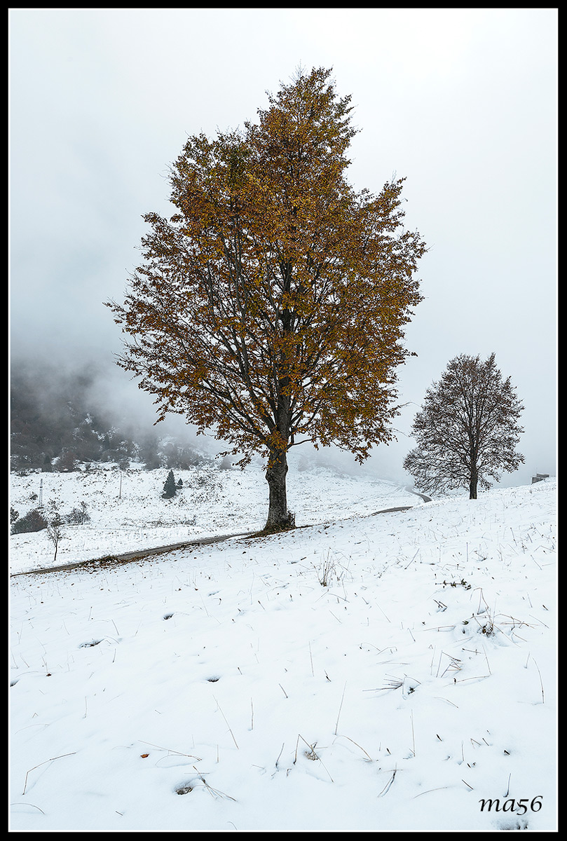 first snow on Mount Baldo (vr)