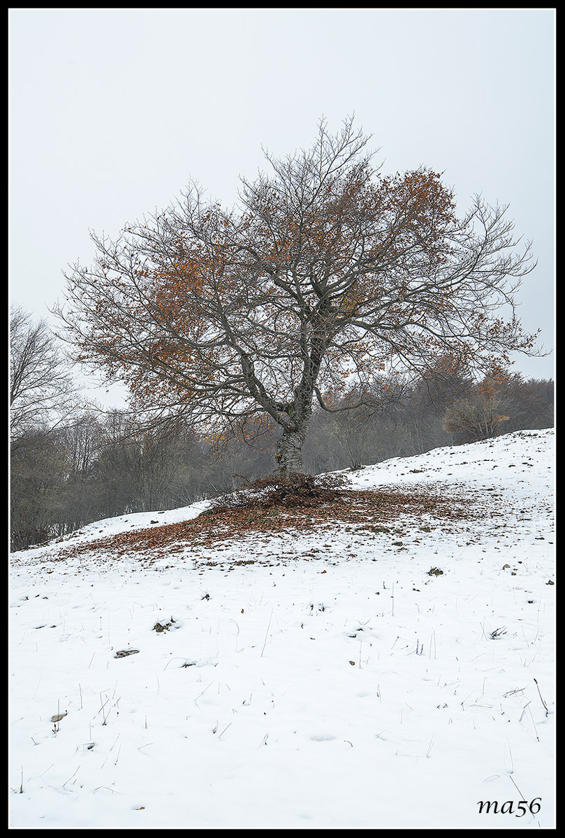 prima neve sul Monte Baldo  (vr)