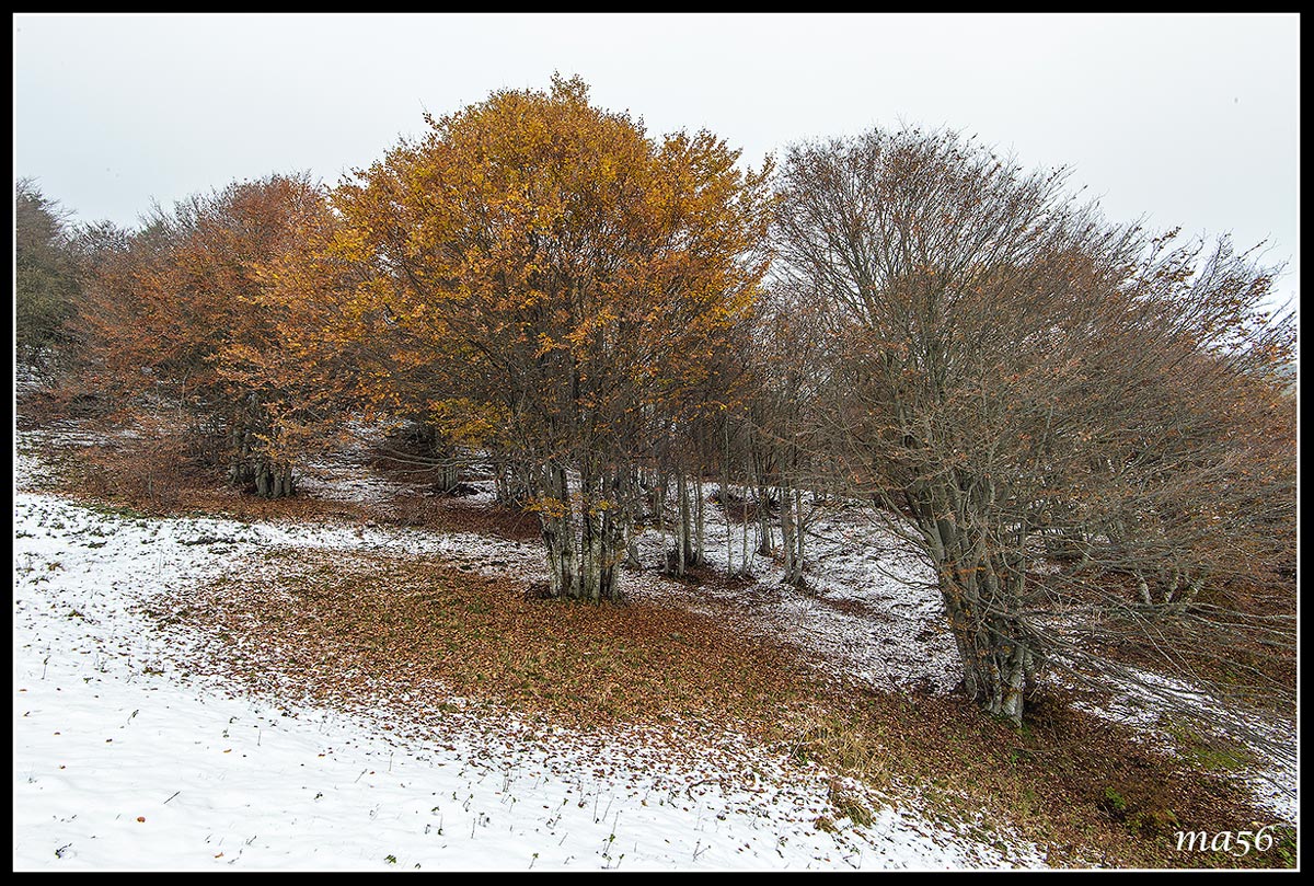 first snow on Mount Baldo (vr)