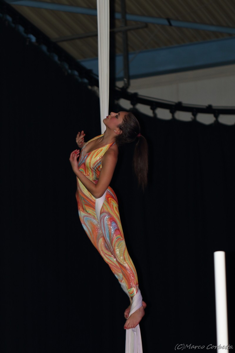 dia sotto le stelle 2015