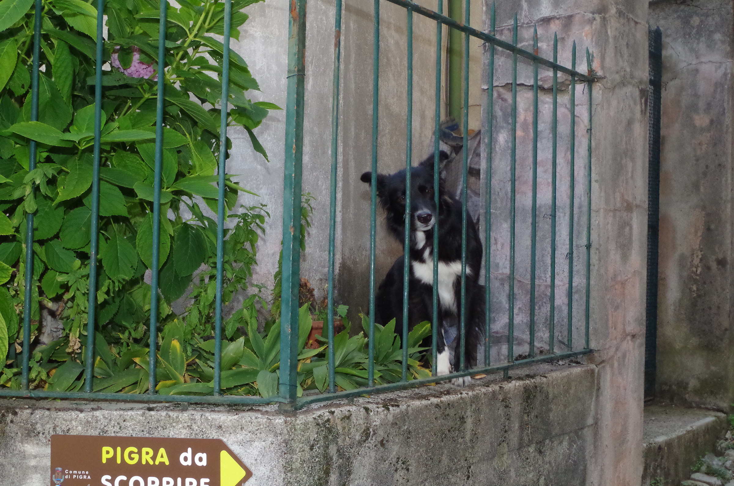 The village of Pigra