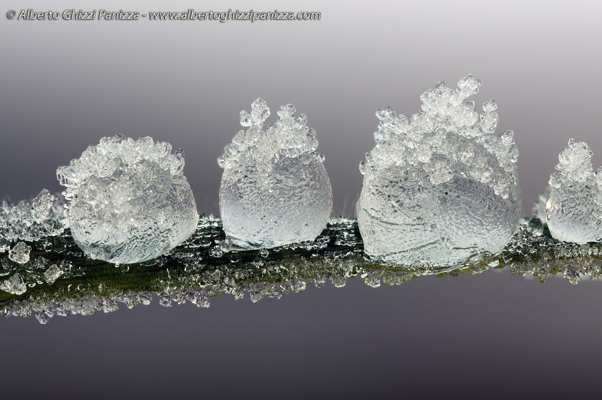 Gocce ghiacciate