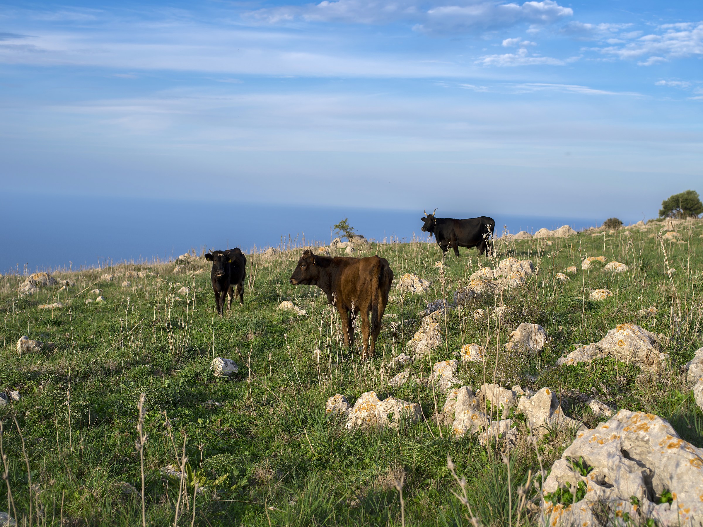 passeggiando su Monte Pellegrino