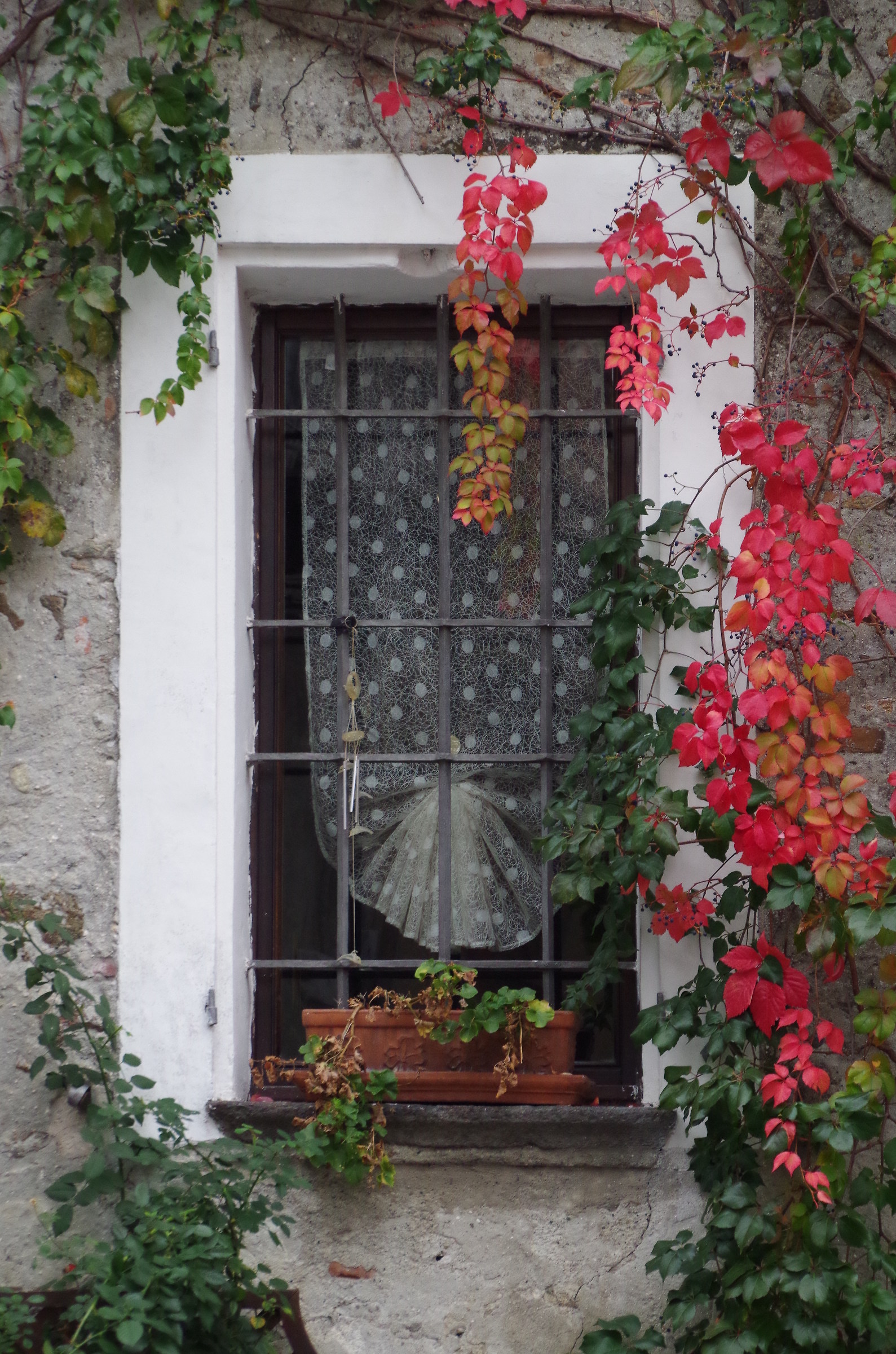autumn window