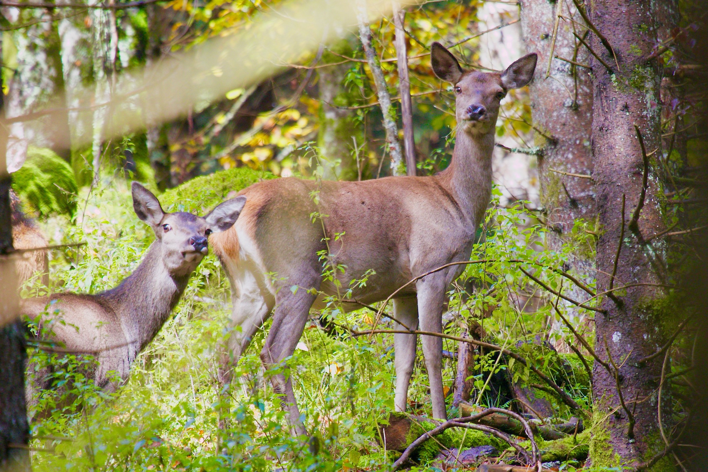 Ugh another photographer