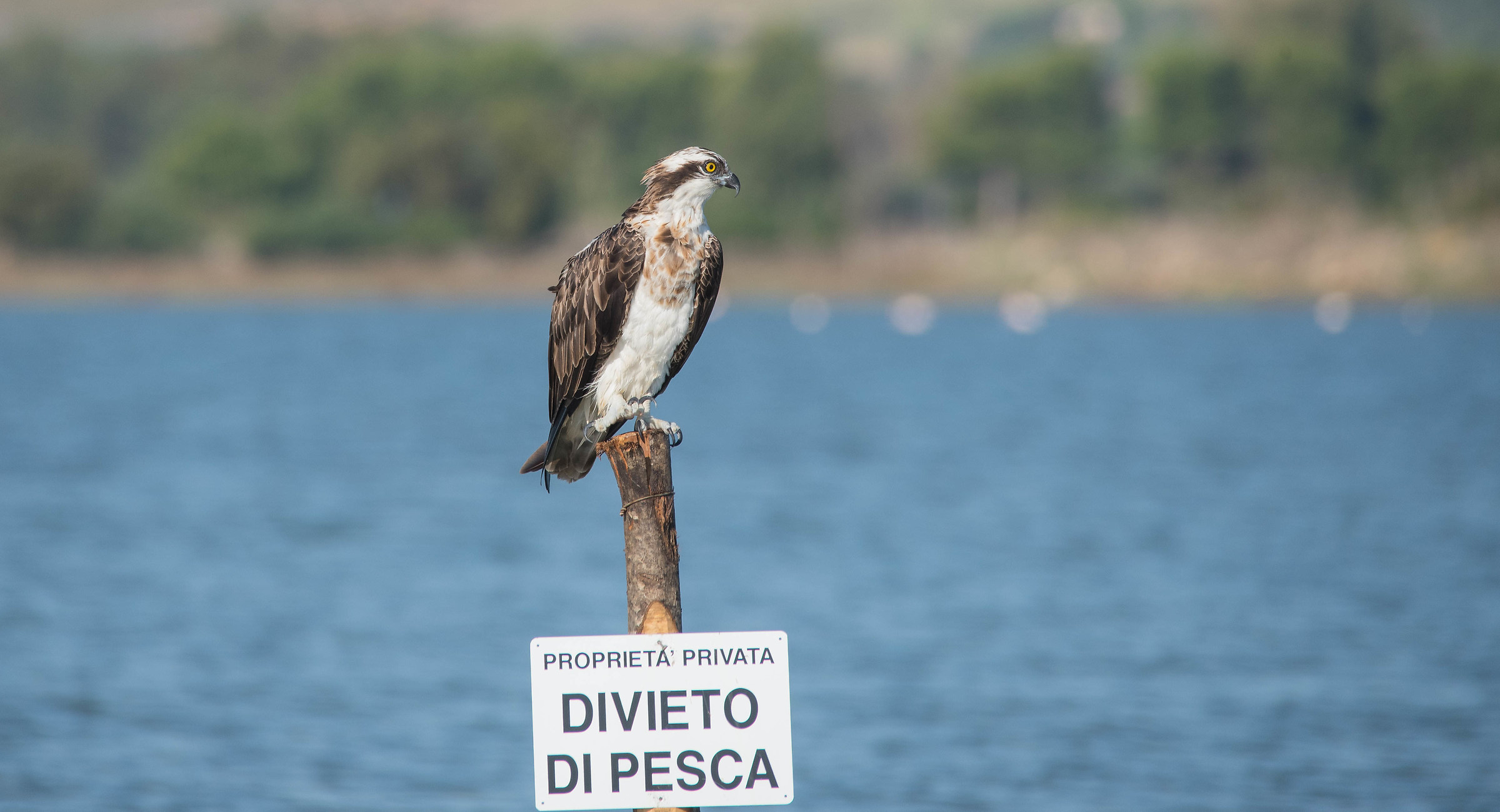 Fisherman in super crop