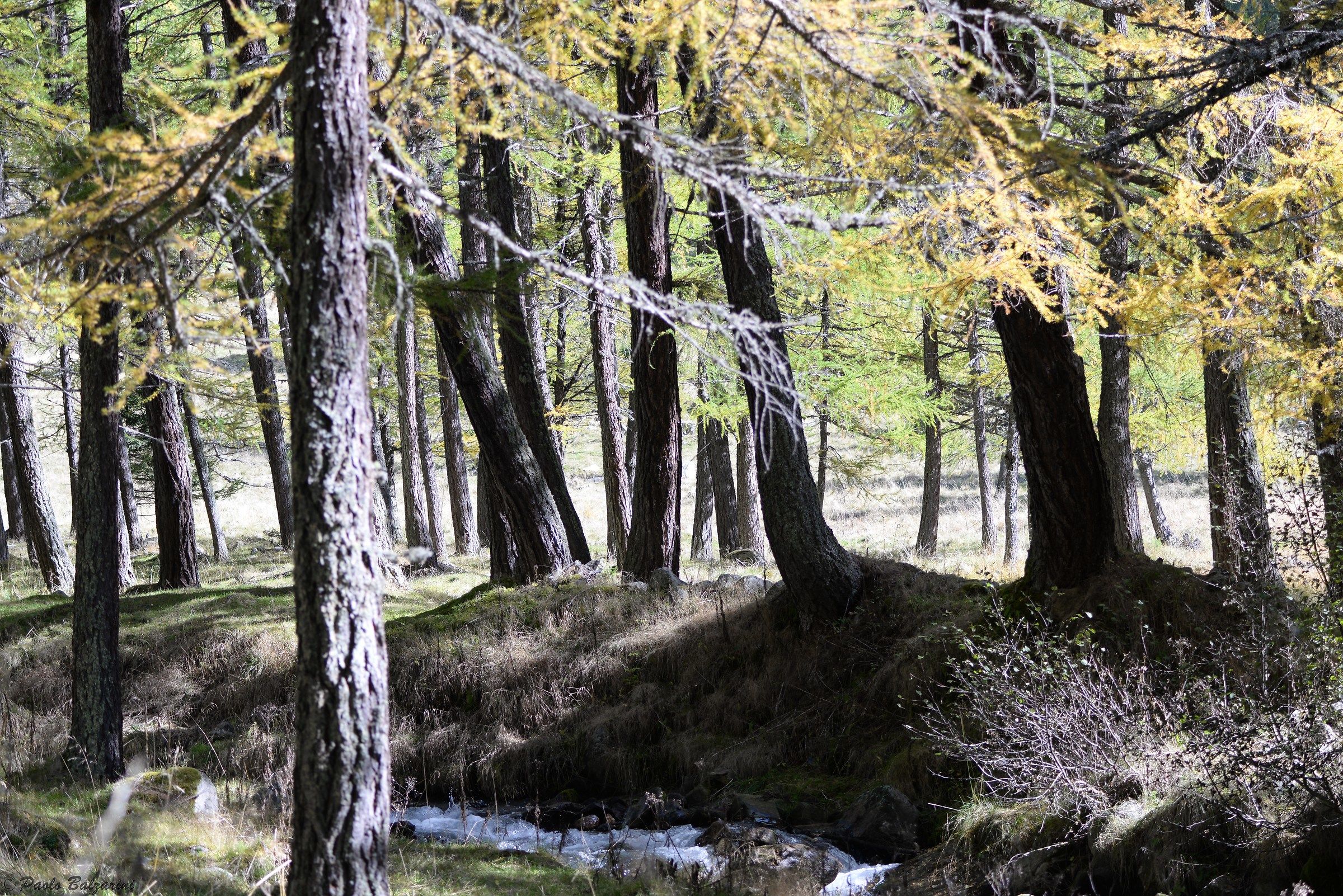 Val Grande autumn landscape