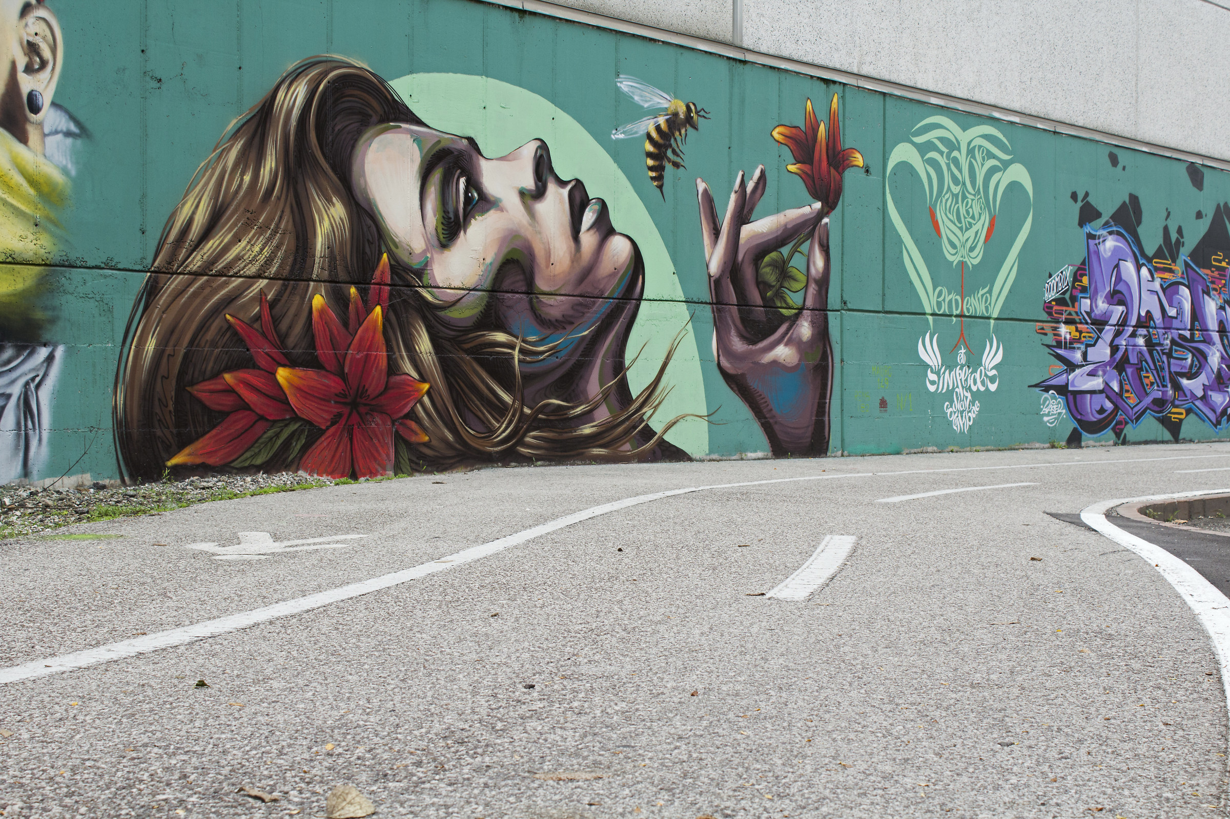 Magico viso in ciclabile...