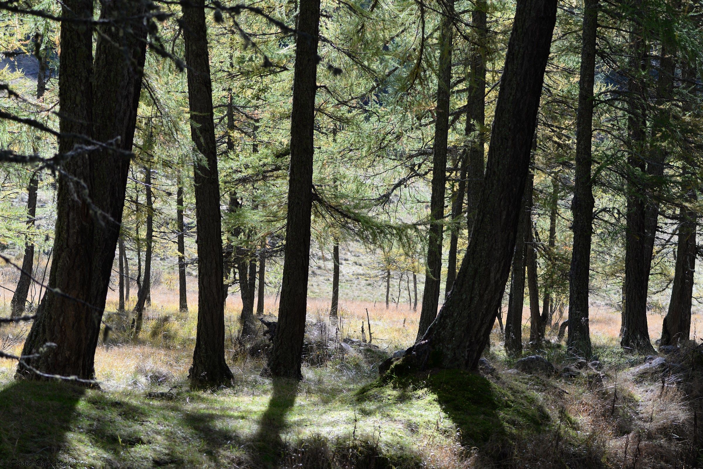 Val Grande autumn landscape